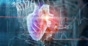 Heart Cardiovasular System